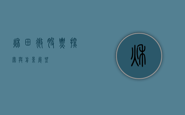 秋田微股票，探索与前景展望