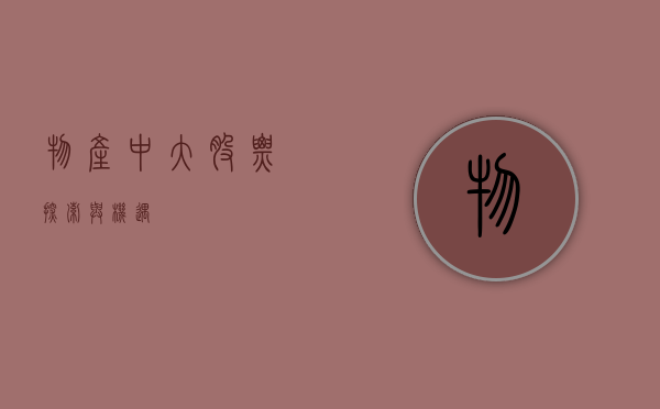 物产中大股票，探索与机遇