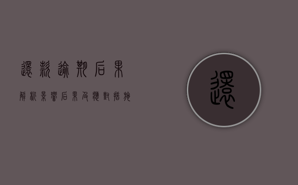 还款逾期后果解析，影响、后果及应对措施
