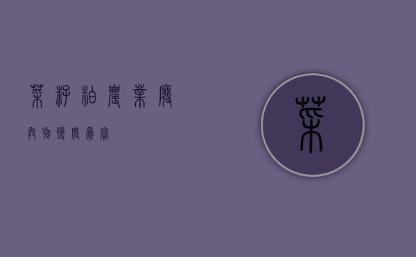菜籽粕，农业废弃物变废为宝