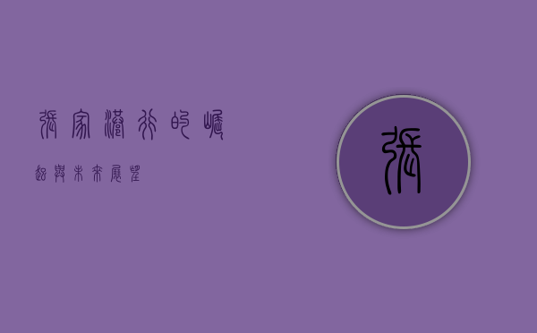 张家港行的崛起与未来展望