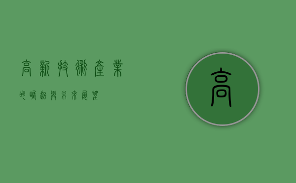 高新技术产业的崛起与未来展望