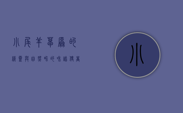 小尾羊，草原的精灵与自然界的和谐使者