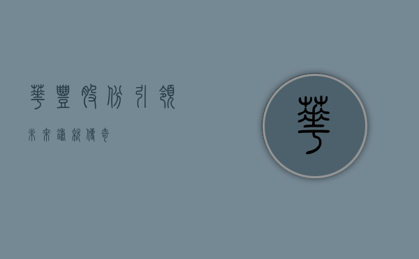 华丰股份，引领未来，铸就传奇