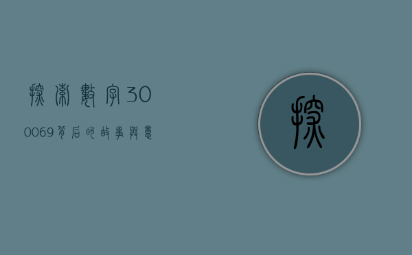 探索数字300069背后的故事与意义