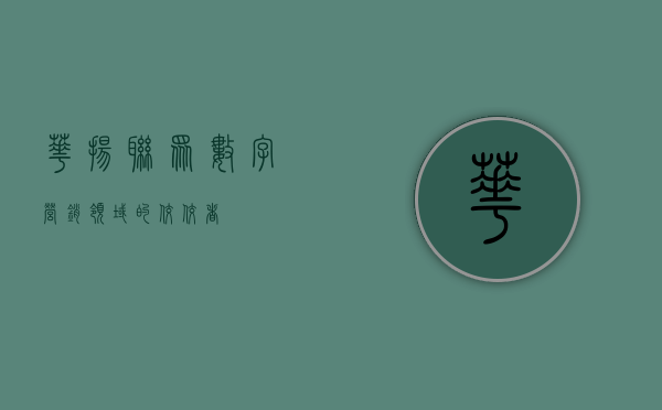 华扬联众,数字营销领域的佼佼者