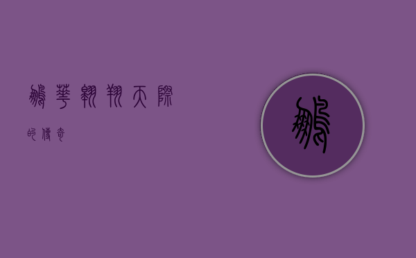 鹏华，翱翔天际的传奇