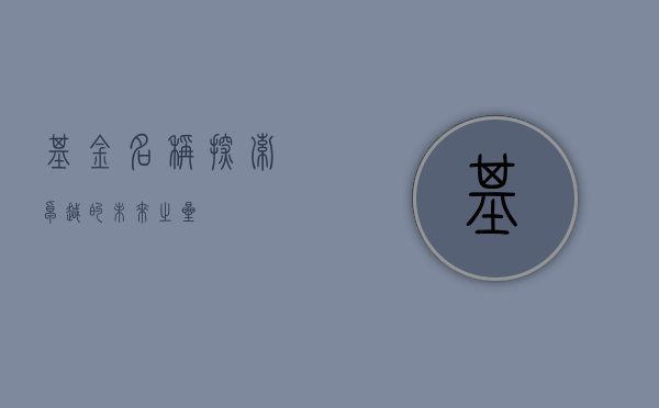 基金名称，探索卓越的未来之星