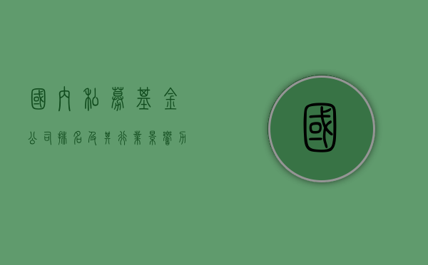 国内私募基金公司排名及其行业影响力