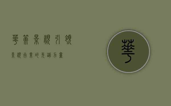 华策影视，引领影视行业的先锋力量