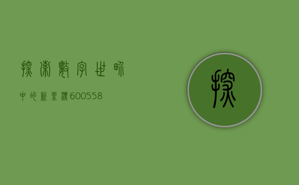 探索数字世界中的新坐标—600760