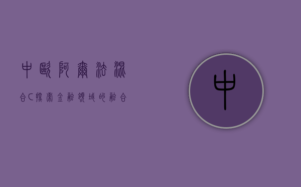中欧阿尔法混合C，探索金融领域的融合与创新