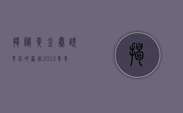 揭秘黄金暴跌背后的原因，2022年黄金市场震荡分析