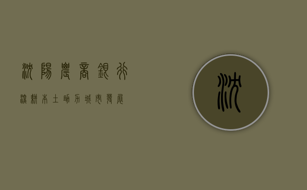 沈阳农商银行，深耕本土，助力城市发展