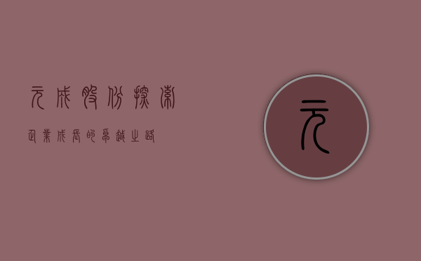 元成股份，探索企业成长的卓越之路