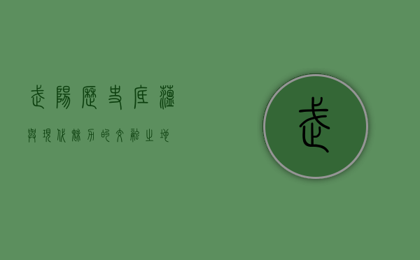 武阳，历史底蕴与现代魅力的交融之地