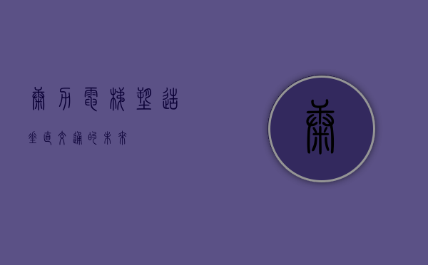 康力电梯，塑造垂直交通的未来