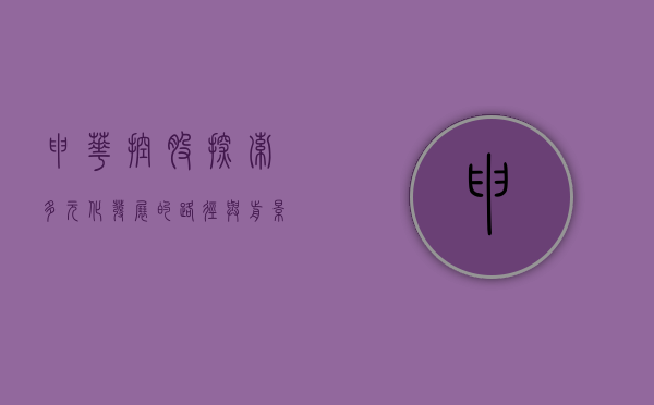 申华控股，探索多元化发展的路径与前景