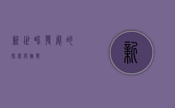 新世界发展的探索与挑战