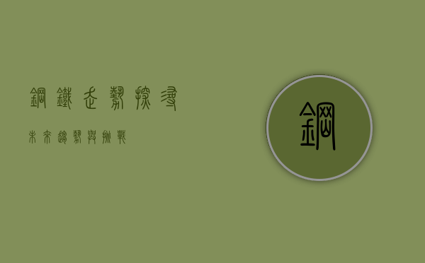 钢铁走势，探寻未来趋势与挑战