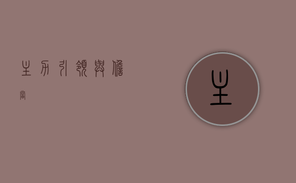 主力，引领与担当