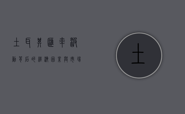 土耳其汇率，波动背后的经济因素与市场动态
