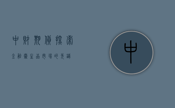 中财期货，探索金融衍生品市场的先锋