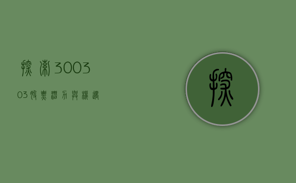 探索300303股票，潜力与价值分析