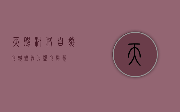 天赐材料,自然的馈赠与人类的智慧
