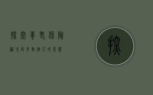 探究养老保险档次及其对个人的影响