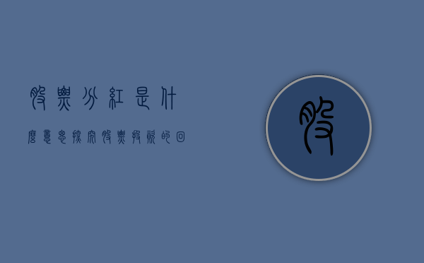 股票分红是什么意思—探究股票投资的回报机制