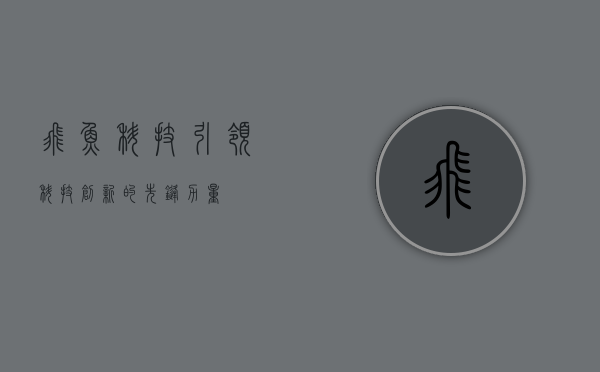 飞鱼科技，引领科技创新的先锋力量