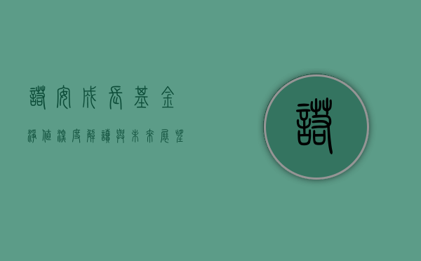 诺安成长基金净值，深度解读与前景展望