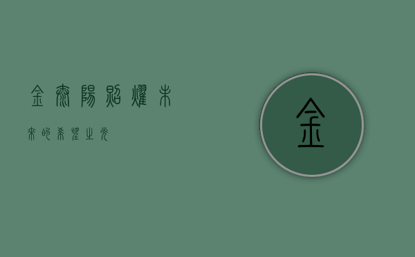 金太阳，照耀未来的希望之光