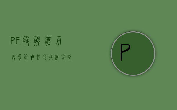 PE投资，潜力与风险并存的投资策略