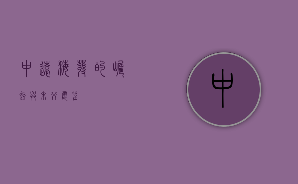 中远海发的崛起与未来展望