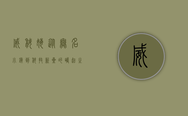 威科姆，从无名小镇到科技新星的崛起之路