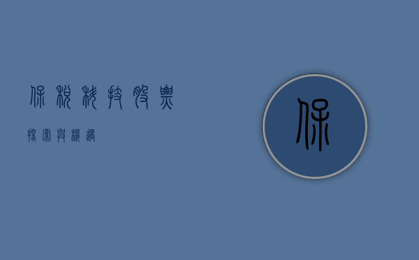 保税科技股票，探索与机遇