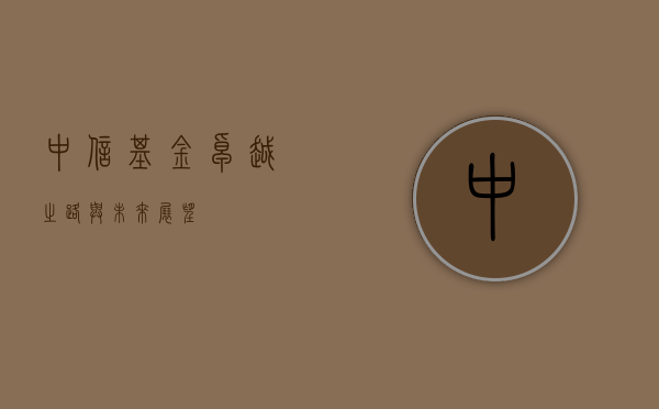 中信基金，卓越之路与未来展望