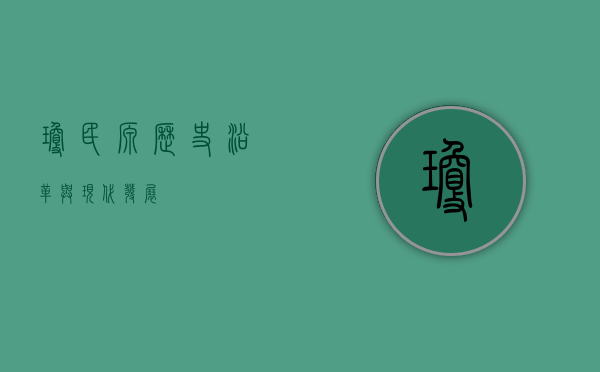 琼民源，历史沿革与现代发展