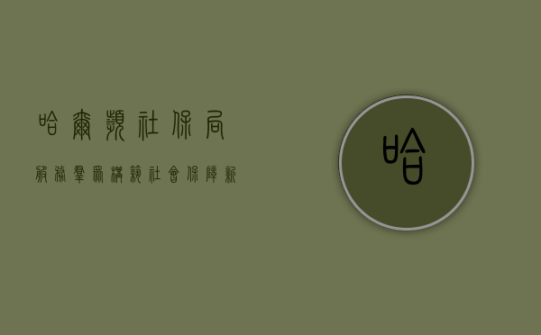 哈尔滨社保局，服务群众，构筑社会保障新篇章