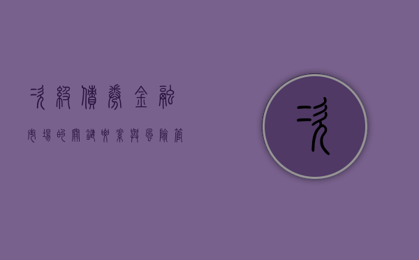 次级债券，金融市场的关键要素与风险管理策略