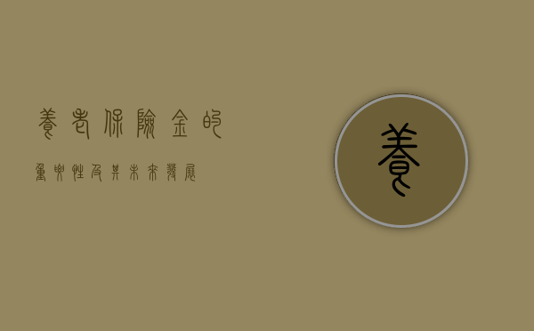 养老保险金的重要性及其未来发展