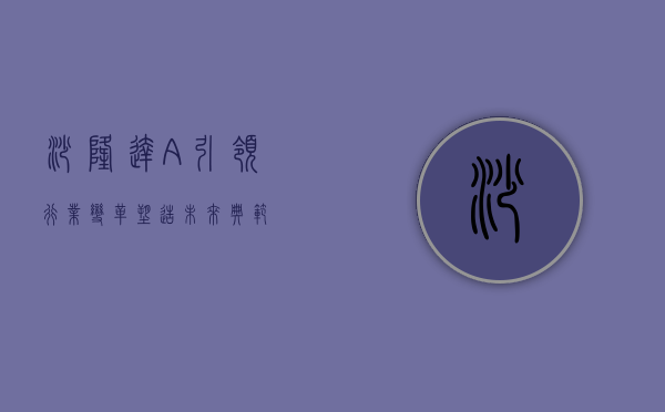 沙隆达A,引领行业变革,塑造未来典范