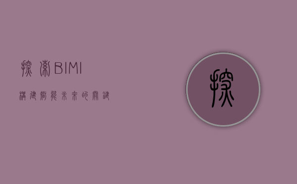 探索BIMI，构建智能未来的关键