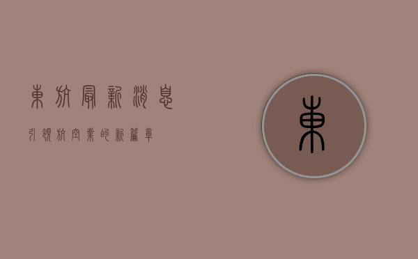 东航最新消息，引领航空业的新篇章
