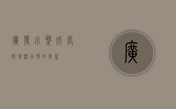 广发小盘成长,探寻潜力股的摇篮