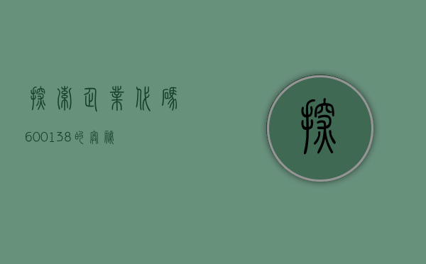 探索企业代码，600138的奥秘