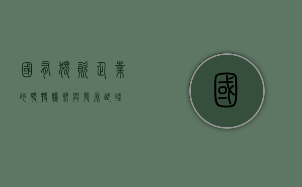 国有独资企业的独特优势与发展路径