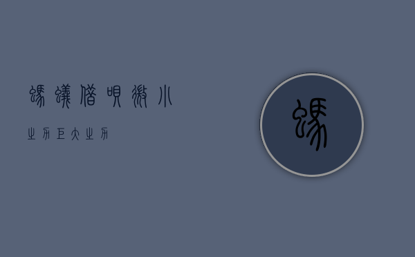 蚂蚁借呗，微小之力，巨大之力